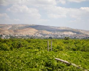 Vallée du Jourdain : les agriculteurs amers face à la raréfaction de l'eau