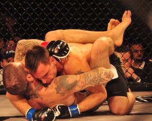 MMA français : dernier round avant la légalisation