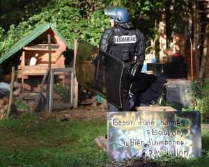 ZAD de Kolbsheim: une eurodéputée touchée par du gaz lacrymogène