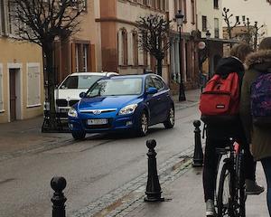 Wissembourg : à la recherche de l'or jeune 