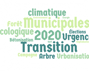 A Strasbourg, 50 nuances de vert dans les discours