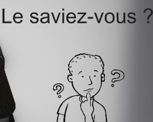 Mode de scrutin : c'est la taille (de la commune) qui compte