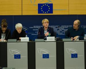 Les groupes politiques face à question grecque